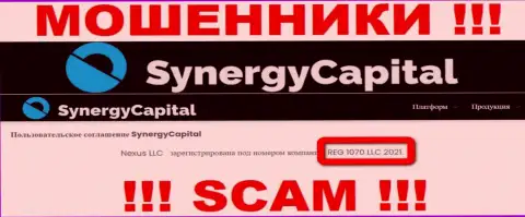 Регистрационный номер конторы Synergy Capital - REG 1070 LLC 2021