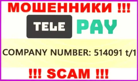 Рег. номер ТелеПай, который размещен мошенниками на их сайте: 514091 t/1