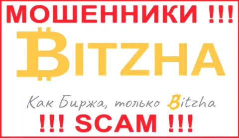 Bitzha24 это МОШЕННИКИ !!! Финансовые активы не отдают !!!