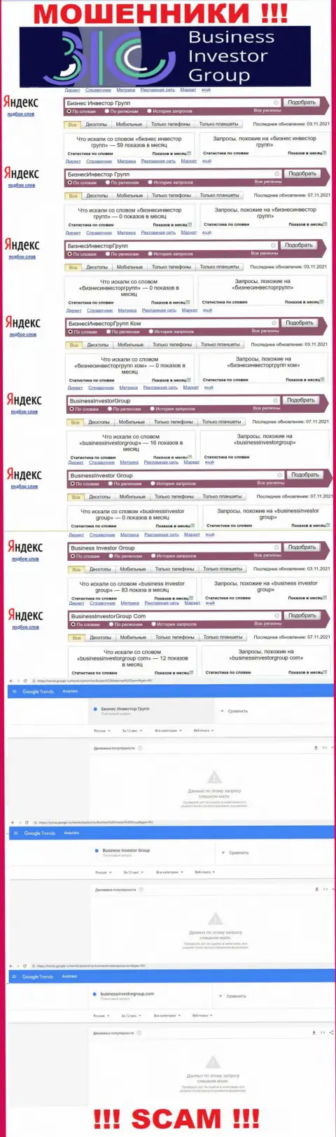 Подробный анализ суммарного числа онлайн-запросов в поисковиках всемирной сети internet по кидалам Бизнес Инвестор Групп