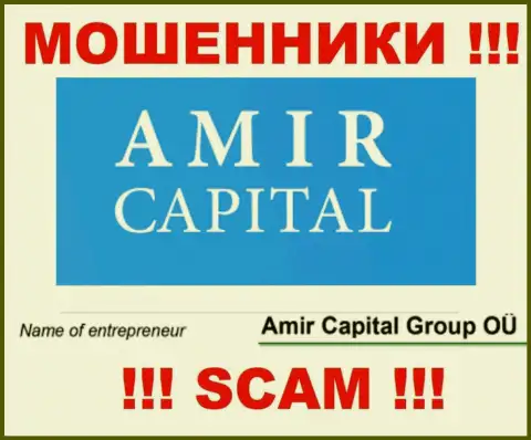 Амир Капитал Групп ОЮ - это контора, которая управляет internet-ворами АмирКапитал