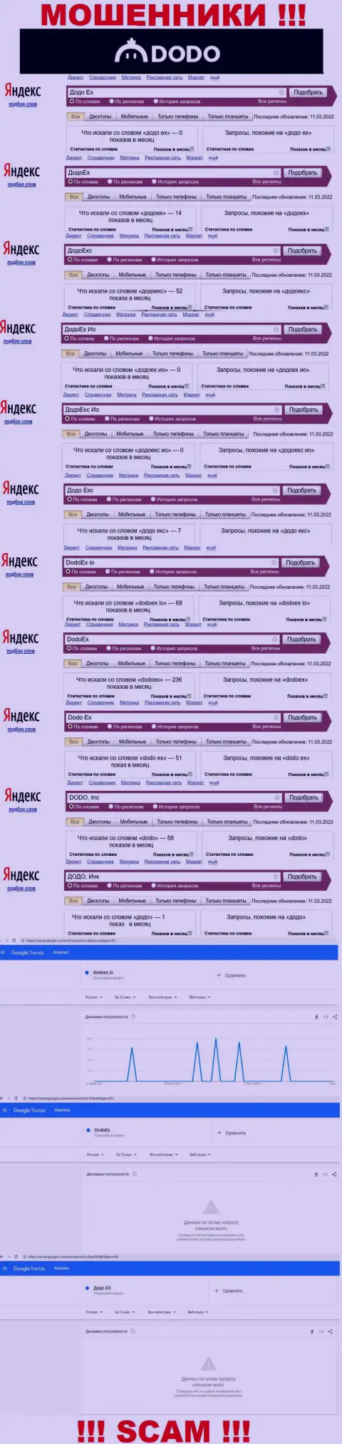 Статистические данные онлайн-запросов по махинаторам ДодоЕх в поисковиках