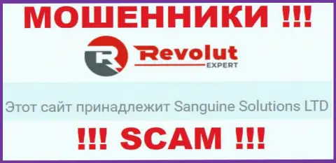 Данные о юридическом лице ворюг RevolutExpert Ltd