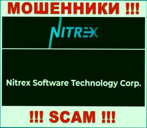 Сомнительная контора Нитрекс Про в собственности такой же скользкой конторе Нитрекс Софтваре Технолоджи Корп
