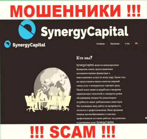 Что касательно типа деятельности Synergy Capital (Брокер) - это 100 % лохотрон