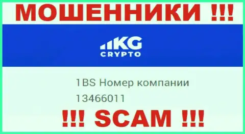 Регистрационный номер организации CryptoKG, Inc, в которую денежные средства лучше не вводить: 13466011