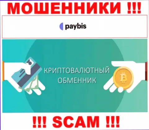 Крипто обменник - это вид деятельности преступно действующей компании PayBis
