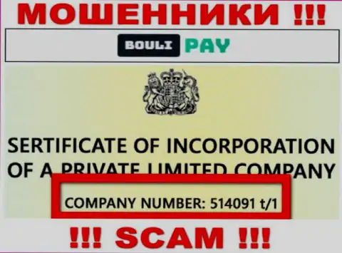 Регистрационный номер Bouli Pay может быть и ненастоящий - 514091 t/1