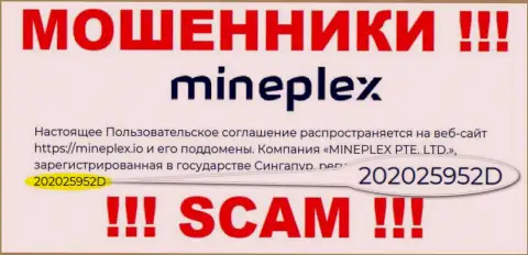 Рег. номер еще одной противоправно действующей компании MinePlex Io - 202025952D