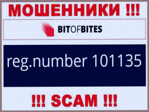 Рег. номер конторы Bit Of Bites, который они предоставили у себя на информационном сервисе: 101135