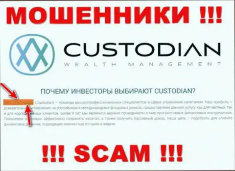Юридическим лицом, управляющим мошенниками Custodian Ru, является ООО Кастодиан