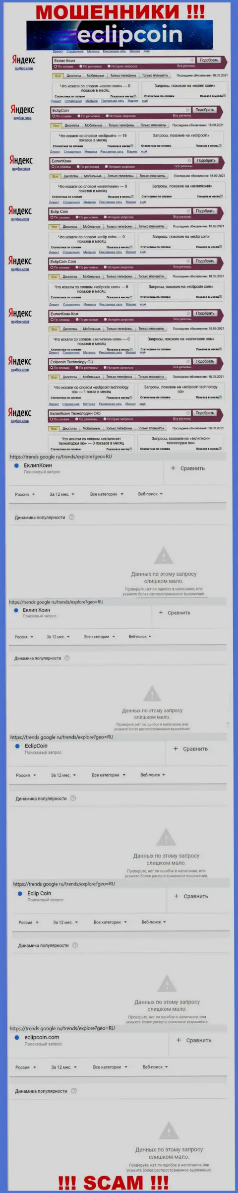 Сколько раз посетители глобальной интернет сети искали данные о аферистах EclipCoin ?