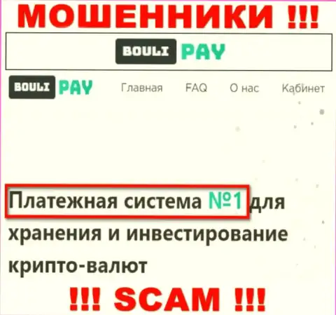 Основная работа БоулиПэй это Платежная система, будьте бдительны, работают незаконно