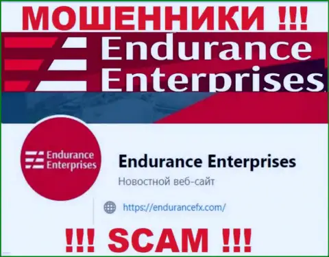 Установить связь с internet-мошенниками из организации Endurance FX Вы можете, если напишите сообщение им на e-mail